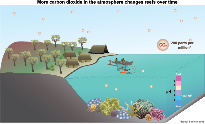 esa-carbon-dioxide-ocean-atmosphere-exchange