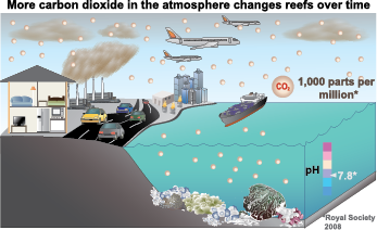 diagram of future carbon emissions