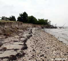 Bay-side erosion.