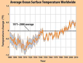 Global ocean temperature