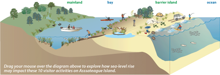 Conceptual diagram of a barrier island