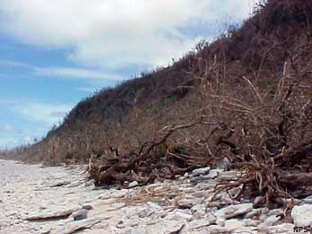 beach damaged by cyclone