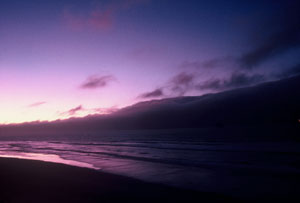 beach at dawn