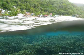 coastal development and coral reef