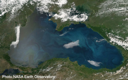 satellite image of algae bloom