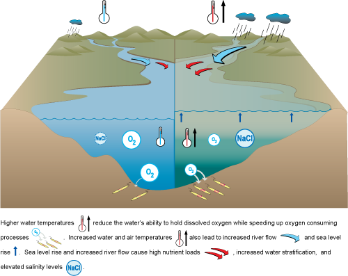 diagram of sea level rise scenario