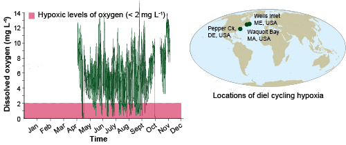 Diel Cycling Hypoxia