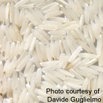 Grain of rice