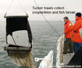 Tucker trawl