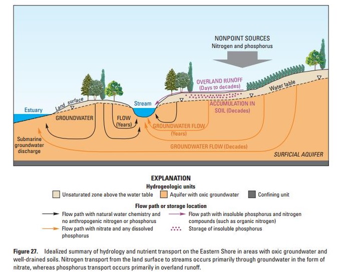 How nutrients are transported through land