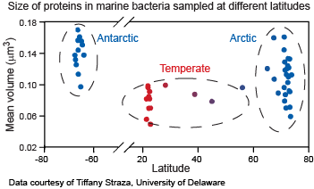 Microbe sizes by latitude