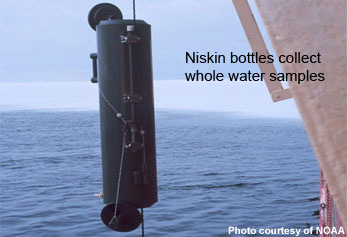 Niskin bottle lowered from boat.
