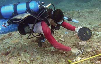 diver taking measurements on a coral reef