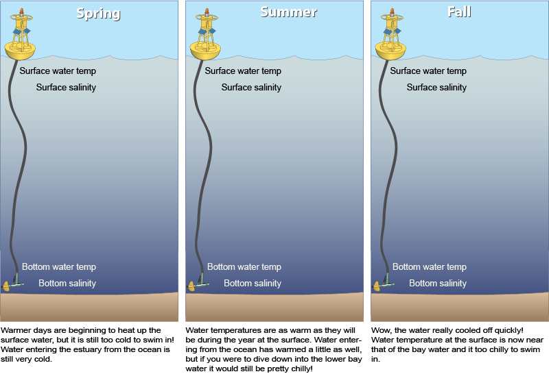 seasonal buoys diagram