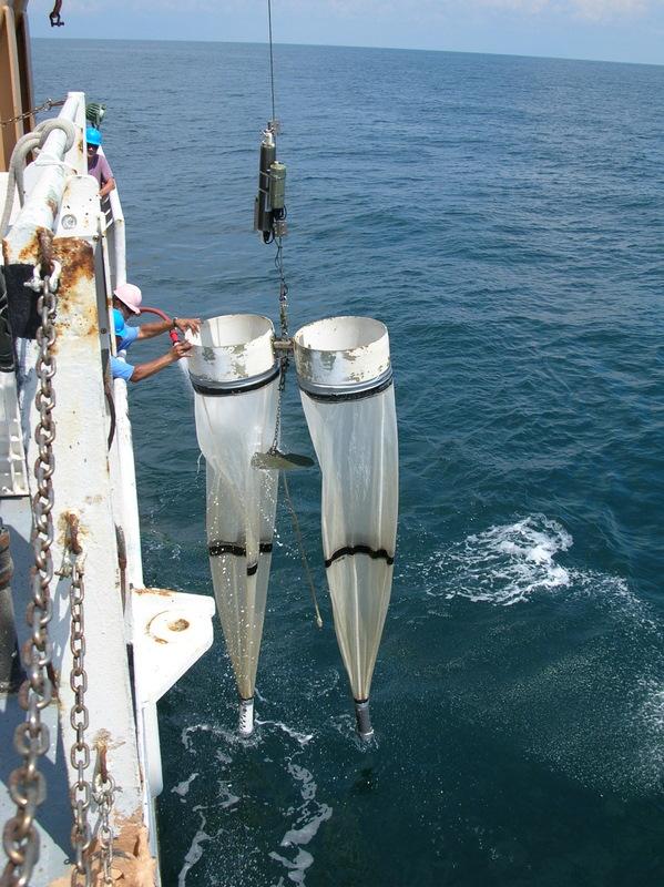 Plankton - Aquatic Drifters - Explore - Teach Ocean Science