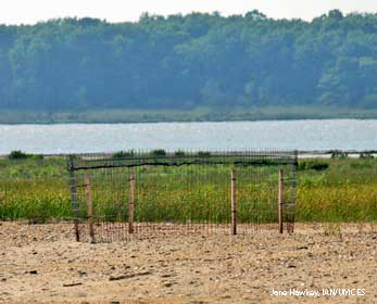 plover pen