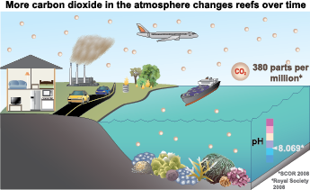 diagram of present carbon emissions