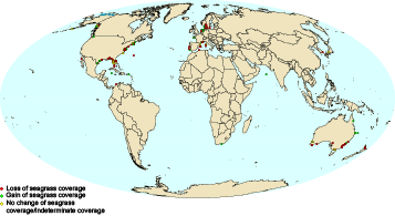 Seagrass Distribution Map