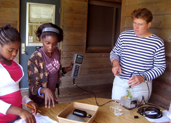 Students and instructor collect oxygen data using a YSI oxygen probe.