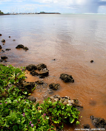sediment plume along the coast
