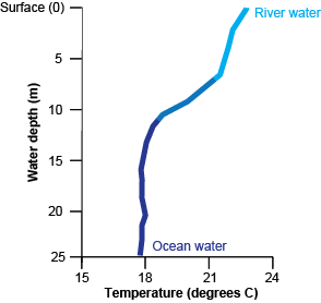 Water temperature profile