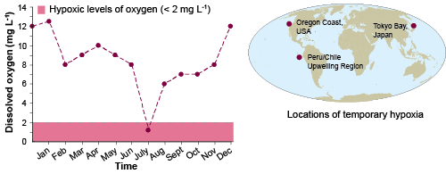 Temporary Hypoxia