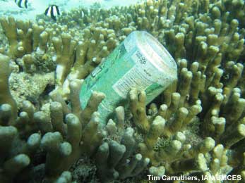 soda can on reef